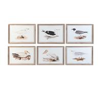 CUADRO CRISTAL ABETO 70X2,5X50 AVES 6 SURT.