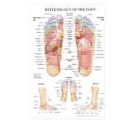 Cuadro de arte pared cuerpo humano ciencia escuela educación TABLA DE PUNTOS DISPARO pintura anatomía informativa lienzo póster Decoración(30X40cm Frameless)