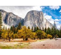 Cuadro de madera de 110 x 80 cm: Yosemite National Park Valley at cloudy autumn morning. Low clouds lay in the valley, California, Estados Unidos (82600301)