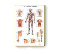 Cuadro de patología, carteles enfermedades anatómicas e impresiones, lienzo, pintura artística, cuadros pared for decoración sala estar, del hogar(D,40X50cm No Frame)