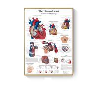 Cuadro de patología, carteles enfermedades anatómicas e impresiones, lienzo, pintura artística, cuadros pared for decoración sala estar, del hogar(B,40X50cm No Frame)