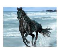 Cuadro de piedras cuadradas de diamante para manualidades caballo 50x40cm 5D pintura de diamante kit de pintura completa para pintar por números punto de cruz lienzo square diamond painting accesorios