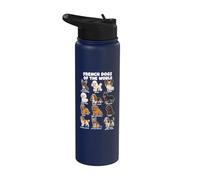 Cuadro De Razas De Perros Franceses Arte De Cachorros De Stainless Steel Insulated Water Bottle
