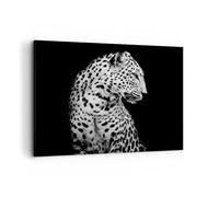 Cuadro Decorativo 100x70cm Moderno Horizontal África Blanco y Negro - 4919