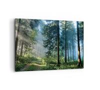 Cuadro Decorativo 100x70cm Moderno Horizontal Botánica Paisajes - 4398 | Bosque Amanecer Sol Cuadro sobre Lienzo Grande Arte mural Decoración del Hogar Salón Dormitorio Oficina Cuadros de Pared