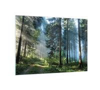 Cuadro Decorativo 100x70cm Moderno Horizontal Botánica Paisajes - 4398 | Bosque Amanecer Sol Cuadro sobre Vidrio Grande Arte mural Dormitorio Cuadros de Pared Impresión en Cristal Glasprint ARTTOR