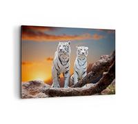 Cuadro Decorativo 100x70cm Moderno Horizontal Naturaleza Animales - 2901