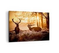 Cuadro Decorativo 100x70cm Moderno Horizontal Naturaleza Animales - 3043 | Ciervo Brezo Animal Cuadro sobre Lienzo Grande Arte mural Decoración del Hogar Salón Dormitorio Oficina Cuadros de Pared