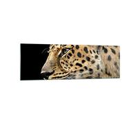 Cuadro Decorativo 160x50cm Moderno Panorámico Naturaleza Animales - 0433