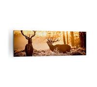 Cuadro Decorativo 160x50cm Moderno Panorámico Naturaleza Animales - 3043 | Ciervo Brezo Animal Cuadro sobre Lienzo Grande Arte mural Decoración del Hogar Salón Dormitorio Oficina Cuadros de Pared