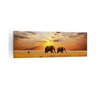 Cuadro Decorativo 160x50cm Moderno Panorámico Paisajes Naturaleza - 3150
