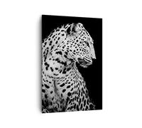 Cuadro Decorativo 70x100 cm Moderno Vertical África Blanco y Negro - 4919 | Leopardo Pantera Gato Cuadro sobre Lienzo Grande Arte mural Decoración del Hogar Salón Dormitorio Cocina Cuadros de Pared
