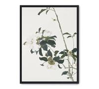 Cuadro delicate beauty