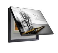 Cuadro Electrico Tapa Contadores Caja Decorativos Caja Electrica Contadores Cubierta Portátil Caja De Distribucion Contador Marcos Electricos Decoracion,03,60 * 50cm