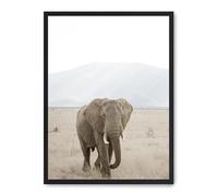 Cuadro elephant in the savana i_FASE5