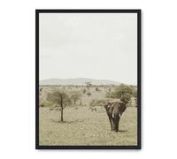 Cuadro elephant in the savana ii_FASE5