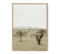 Cuadro elephant in the savana ii_FASE5