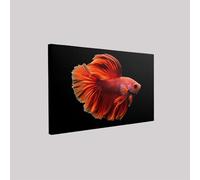 Cuadro en lienzo Koi y peces luchadores 30 x 20 cm marco de madera pintura Rojo moderna decoración pared salón dormitorio comedor estilo natural