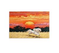 Cuadro En Lienzo Long-haired Perro Maltés Impresión En Lienzo Hierba al Sol Rojo Cuadros Decoracion Salon Para Sala De Estar, Dormitorio Regalos Creativos 08x12inch(20x30cm)
