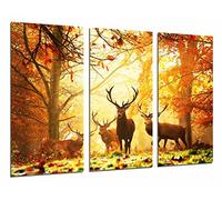 Cuadro Fotográfico Animal Ciervos en la Naturaleza, paisaje de Otoño Tamaño total: 97 x 62 cm XXL