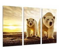 Cuadro Fotográfico Animal Oso Polar, Mama y Bebe Atardecer, Vida Salvaje Tamaño total: 97 x 62 cm XXL
