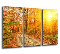 Cuadro Fotográfico Bosque Otoño, Paisaje Naturaleza, Atardecer Tamaño total: 97 x 62 cm XXL