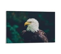 Cuadro fotográfico de retrato de águila calva, arte de pared, decoración del hogar para sala de estar, oficina, imagen de pájaro de naturaleza silvestre, pintura en lienzo de alta definición, marco de