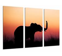 Cuadro Fotográfico Paisaje Animal Cria Elefante Atardecer en la Naturaleza Tamaño total: 97 x 62 cm XXL