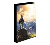 Cuadro Luminoso The Legend of Zelda Into the Wilds | Ideal para Habitación | Luz LED | Marco Retroiluminado | Producto Oficial | Regalo Gamer