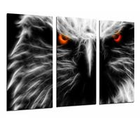 Cuadro Moderno Fotografico Animal Aguila Ojos de Fuego, Vida Salvaje, 97 x 63 cm, ref. 26792