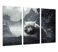 Cuadro Moderno Fotografico Animales Salvajes, Lobo Blanco Montaña, 97 x 62 cm Ref. 26428