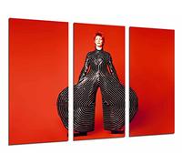 Cuadro Moderno Fotografico David Bowie, Pantalones Famosos, Rojo, 97 x 63 cm, Ref. 26852