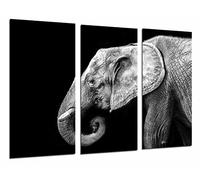 Cuadro Moderno Fotografico Elefante Blanco y Negro, Animales Salvajes, Naturaleza, 97 x 63 cm, Ref. 26855