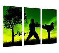 Cuadro Moderno Fotografico Motivacion Deporte Taekwondo, Hombres Luchando, 97 x 63 cm, Ref. 26851