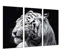 Cuadro Moderno Fotografico Naturaleza Animales Salvajes, Tigre Blanco, 97 x 62 cm Ref. 26417