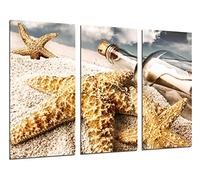 Cuadro Moderno Fotografico Paisaje Mensaje en una Botella, Estrellas de Mar, Playa, Mar, 97 x 62 cm, Ref. 26483