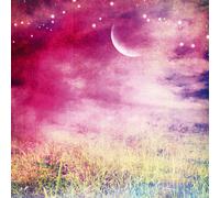 Cuadro PAISAJE SURREAL G1254 PINTDECOR