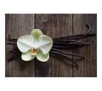 Cuadro PASTILLAS DE VAINILLA G1968 PINTDECOR