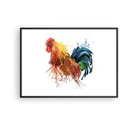 Cuadro Poster de Pared 100x70cm Marco Gallo Ilustration Animal colores Art