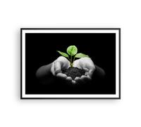 Cuadro Poster de Pared 100x70cm Marco Naturaleza planta ciencia protección Art
