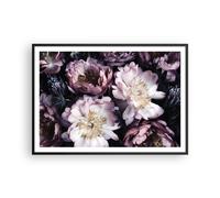 Cuadro Poster de Pared 100x70cm Marco Paeoniaceae Violeta color Flores Art