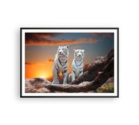 Cuadro Poster de Pared 100x70cm Marco Tigres blanco roca puesta del sol Art