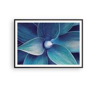 Cuadro Poster de Pared 100x70cm Póster Marco Agave Azul Flor Wall Art Prints