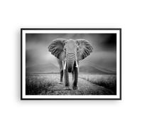 Cuadro Poster de Pared 100x70cm Póster Marco Elefante Salvaje Naturaleza Art