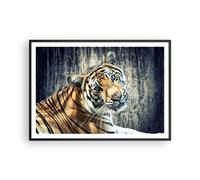 Cuadro Poster de Pared 100x70cm Póster Marco India piedra tigre salvaje Wall Art