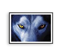 Cuadro Poster de Pared 100x70cm Póster Marco Mira El Lobo Ojos Wall Art Prints