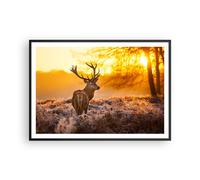 Cuadro Poster de Pared 100x70cm Póster Marco Otoño paisaje naturaleza hoja Art
