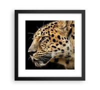 Cuadro Poster de Pared 30x30cm Animales leopardo gato salvaje animales salvajes