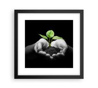 Cuadro Poster de Pared 30x30cm Marco Naturaleza planta ciencia protección Art