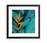 Cuadro Poster de Pared 30x30cm Póster Marco Flores Tropicales Hojas Wall Art
